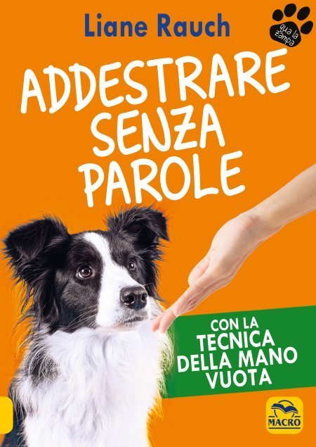 addestrare-senza-parole1.jpg