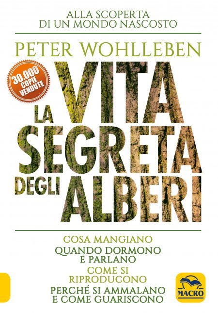 la-vita-segreta-degli-alberi_11466.jpg